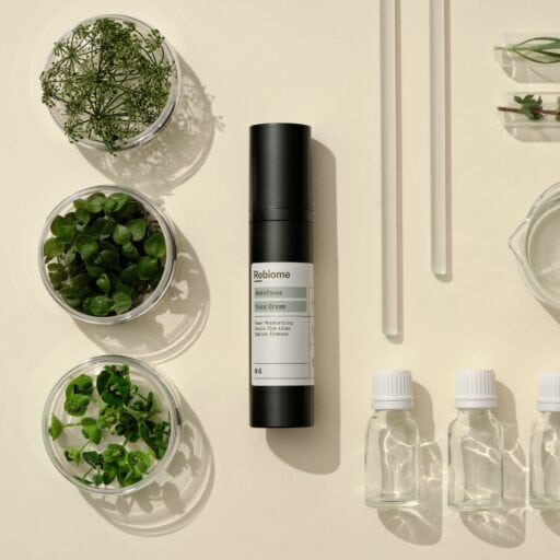 Rebiome Face Cream Blogg